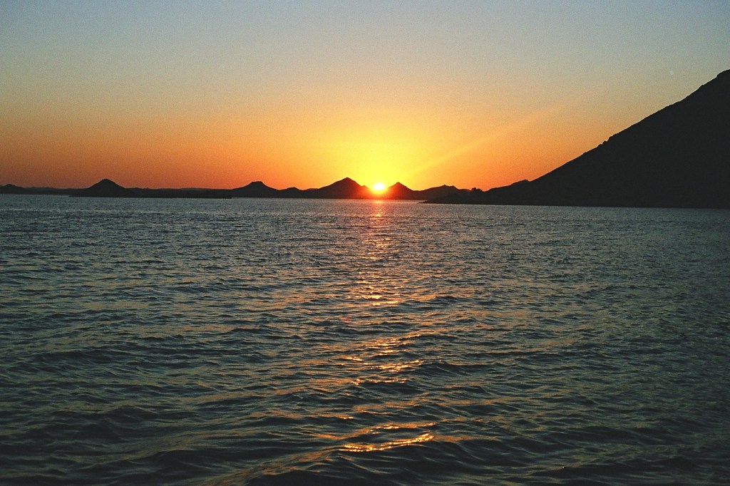 Chasing Buffalo – Lake Nasser Safari